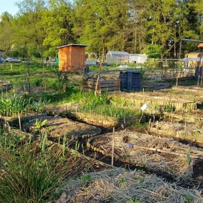 11050148_10206241487173582_7381888600957367243_n