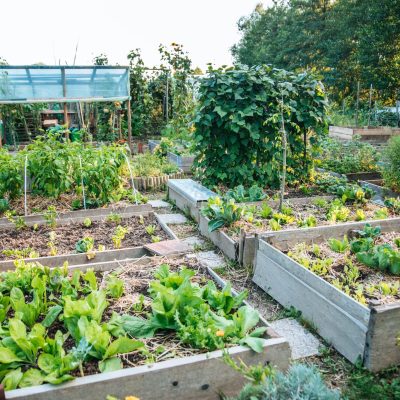 135739393_3611153072272267_2204346611204198062_n