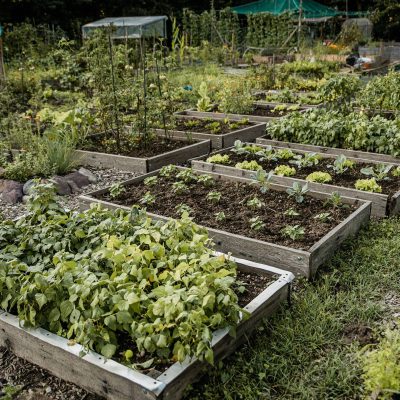 244567236_4404224362965130_295563721142099126_n